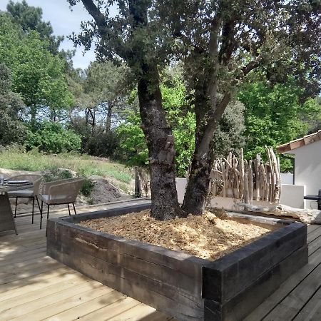Villa Bois Flottes Le Verdon-sur-Mer Luaran gambar